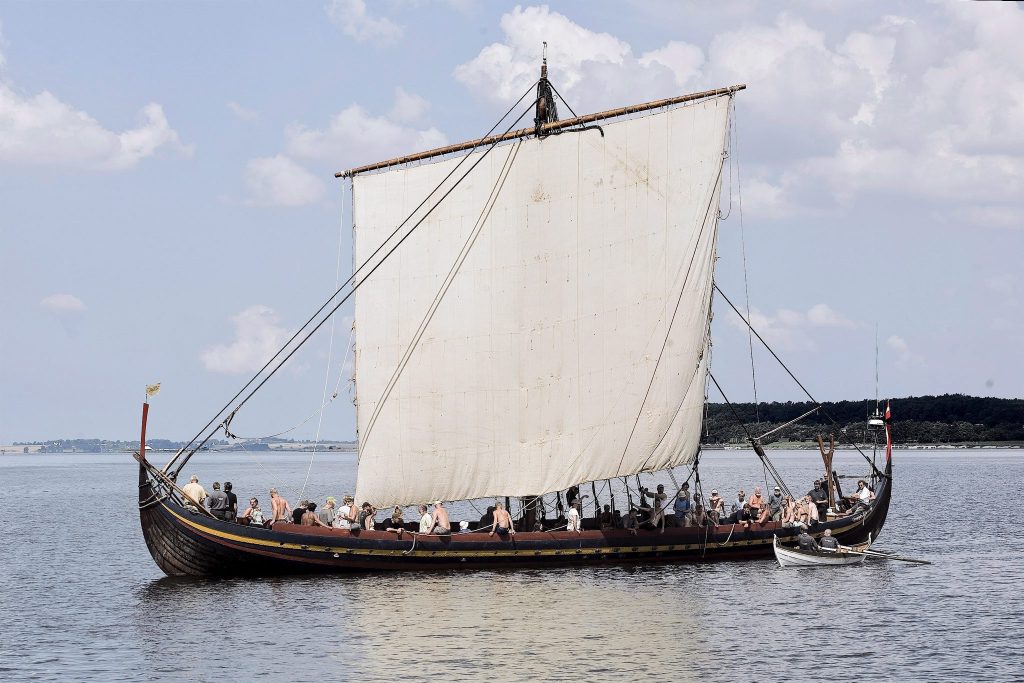 Wikinger hatten engeres Verhältnis zu Tieren als gedacht