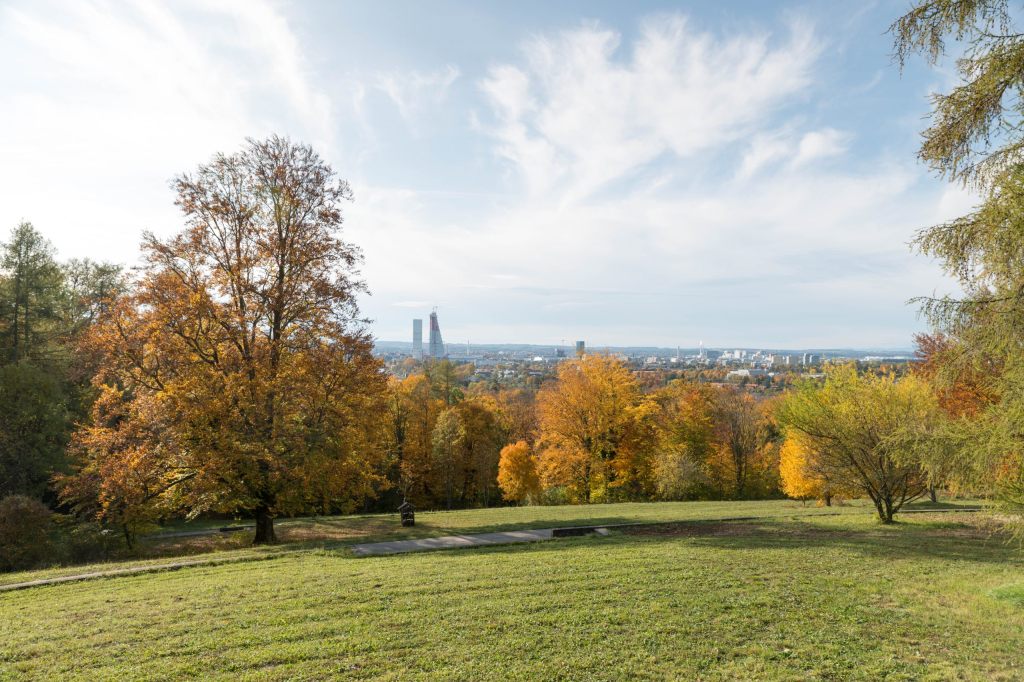 Letzte Ruhe im Grünen: «Baumbestattungen» auf dem Hörnli sind sehr gefragt