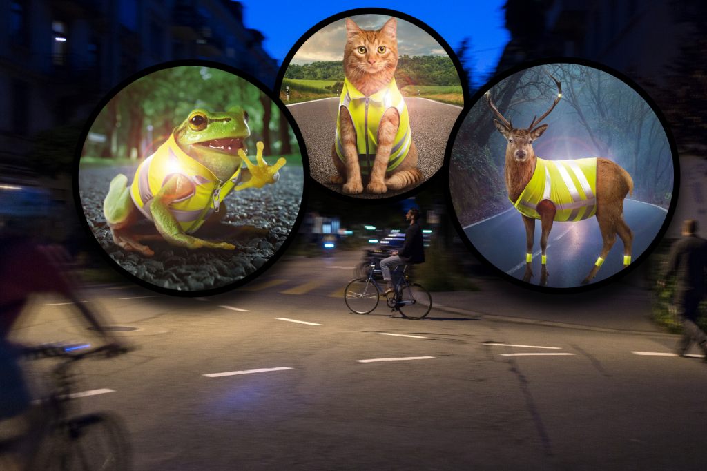 Frosch und Co. machen’s vor: Darum macht eine Leuchtweste Sinn