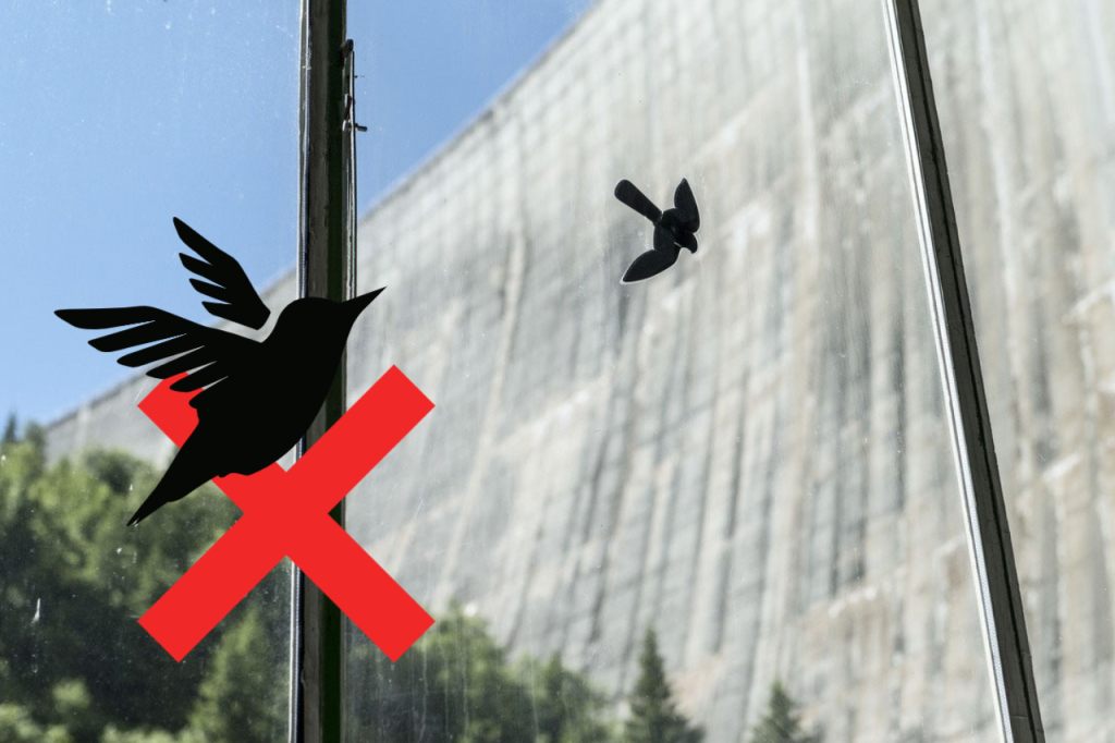 Deshalb solltest du die Vogel-Kleber nicht innen anbringen