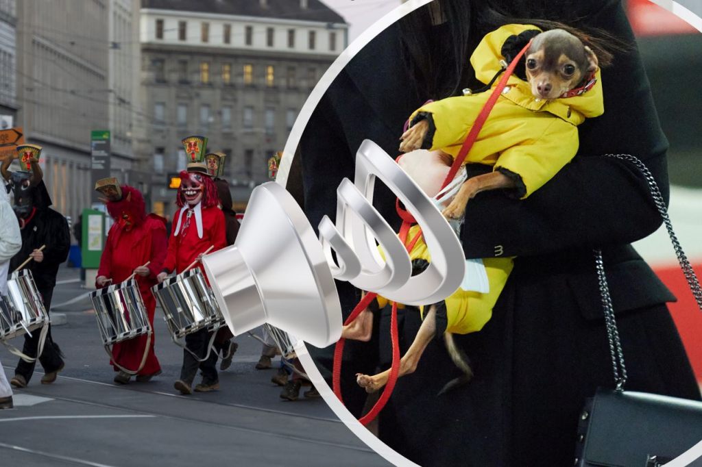 Warum du deinen Hund nicht an die Fasnacht mitnehmen solltest