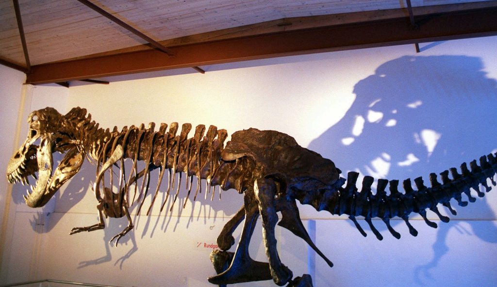 In Zürich wird ein millionenschweres T-Rex-Skelett versteigert