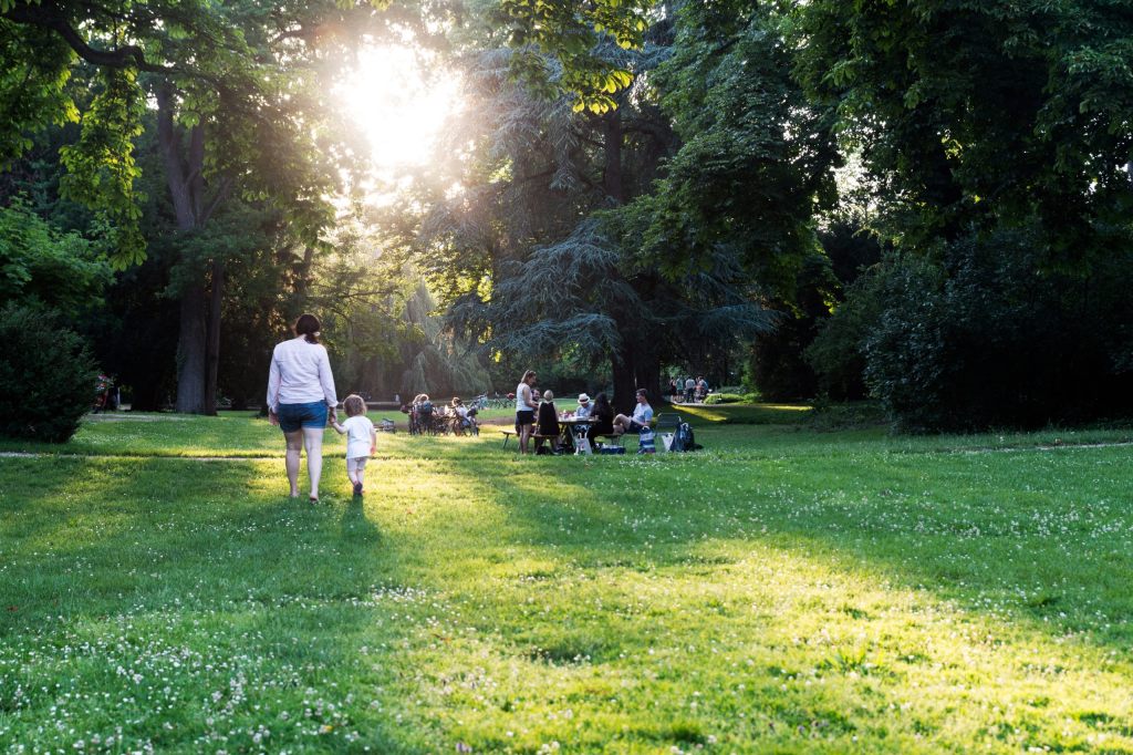 Im Rosenfeldpark beginnen die Bauarbeiten