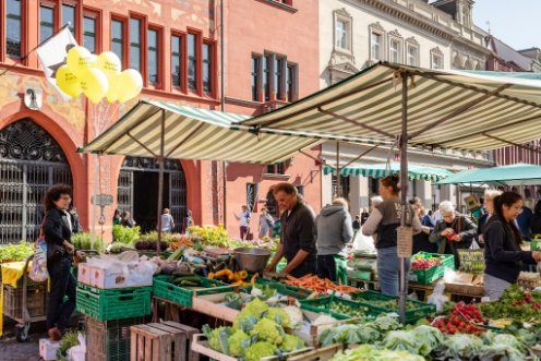 Marktsaison startet in Vollbesetzung