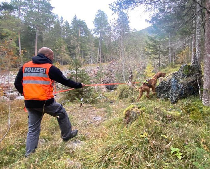 Hund Falu spürt zum zweiten Mal eine vermisste Person auf