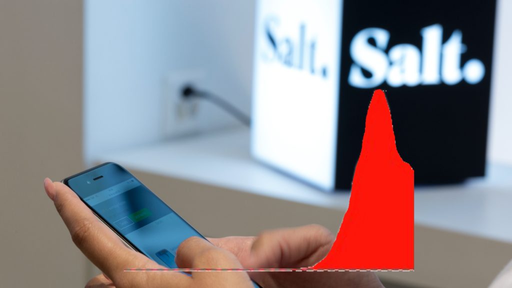 Störung im Salt-Netz behoben