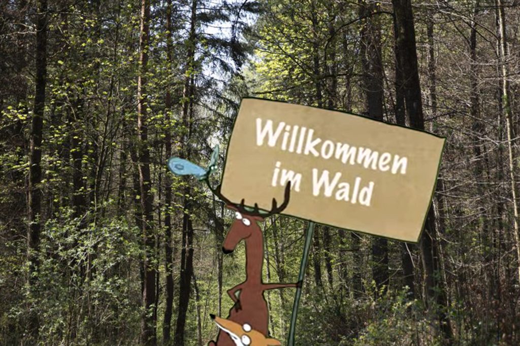 Wald-Knigge: So hilfst du, dass der Wald gesund bleibt