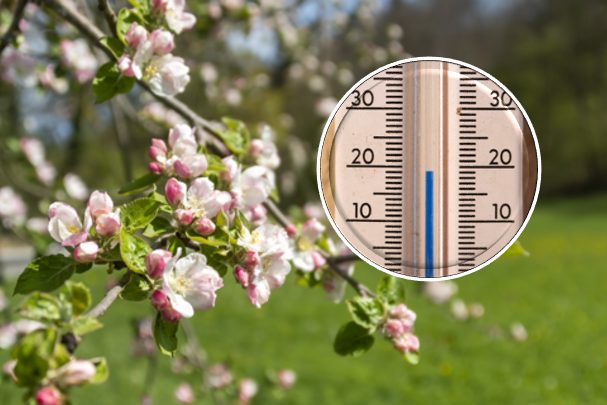 Mildestes Winterhalbjahr endet mit sechstem zu warmem Monat in Folge