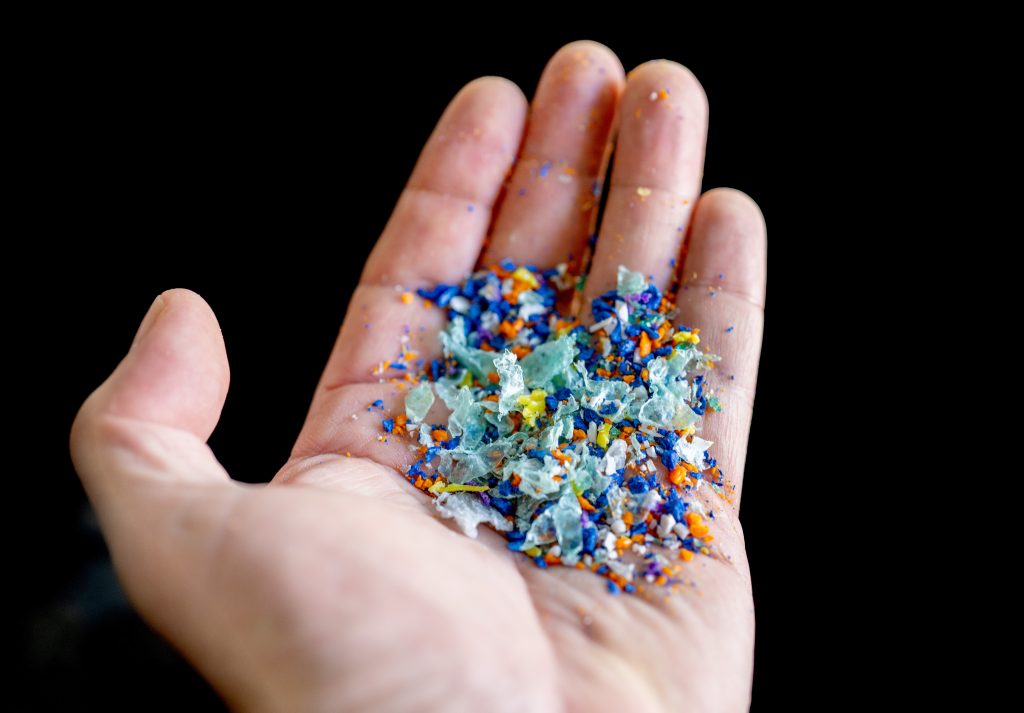 Neue Forschungsarbeit zeigt: Mikroplastik kann bis ins Hirn gelangen