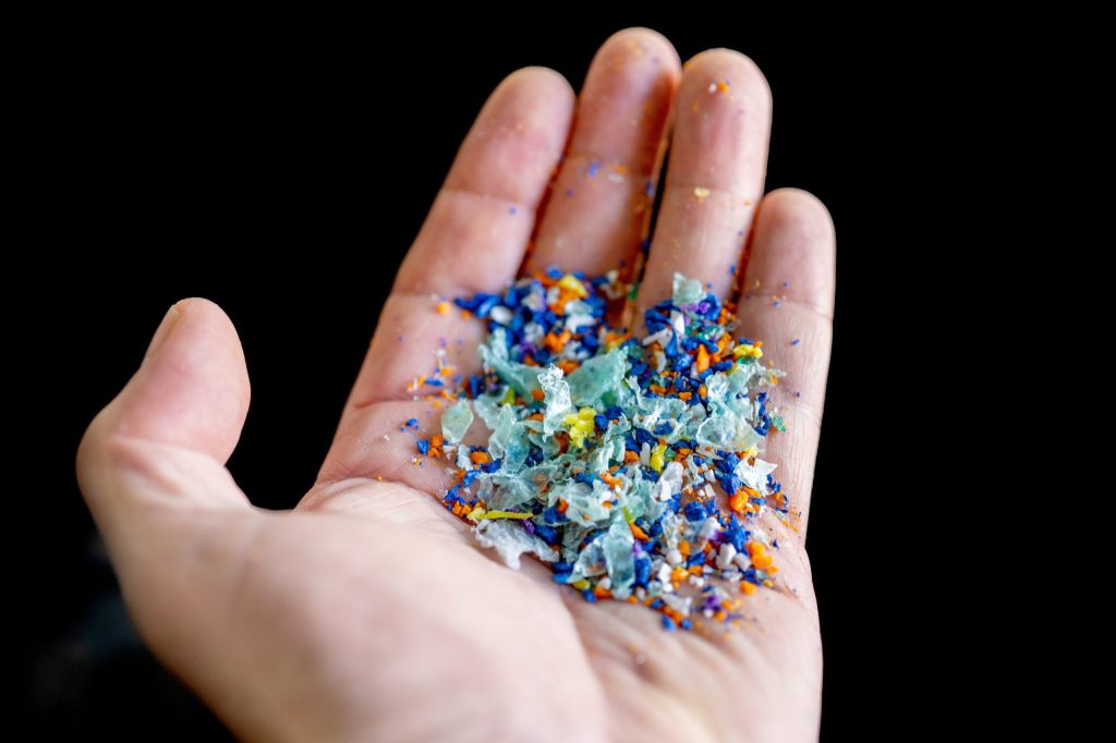 Neue Forschungsarbeit zeigt: Mikroplastik kann bis ins Hirn gelangen