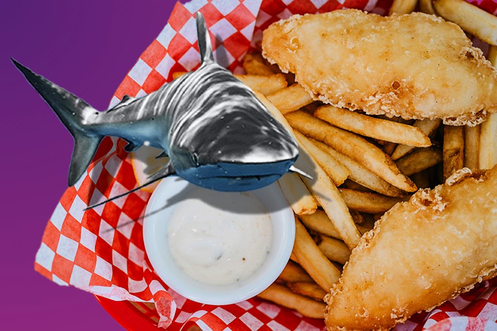 Hai und Chips? Briten dürfen den Fisch wieder frittieren