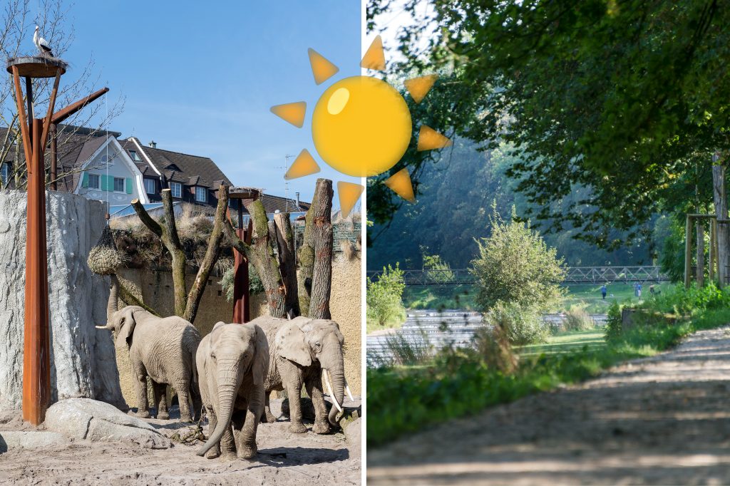 Sonnige Freitage: Nicht nur du hattest Freude am schönen Wetter