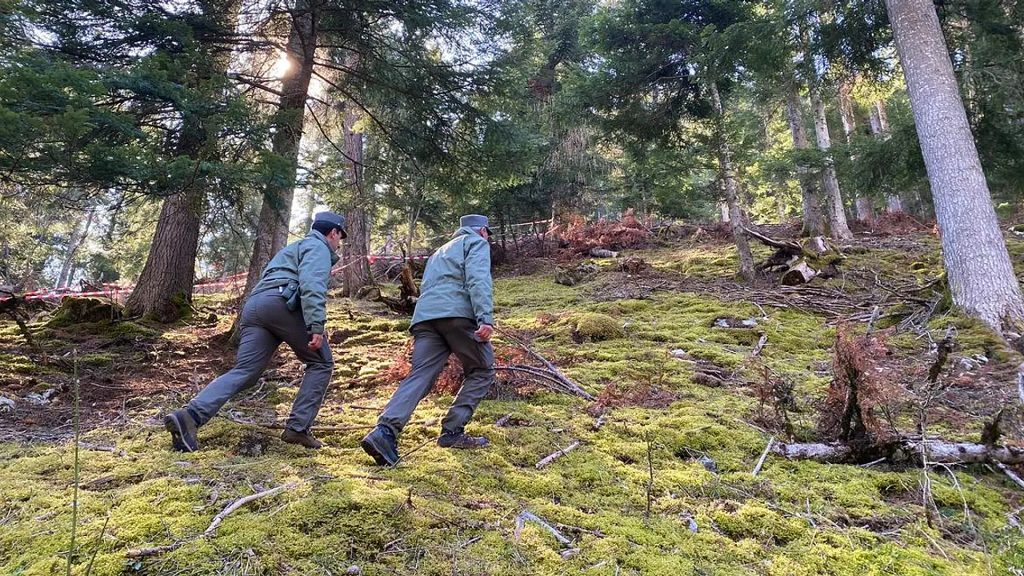 Autopsie gibt Gewissheit: 26-jähriger Jogger von Bär getötet