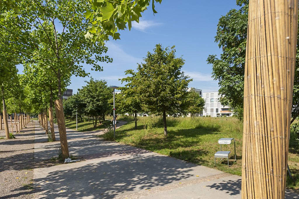 Erlenmattpark kann fertiggestellt werden