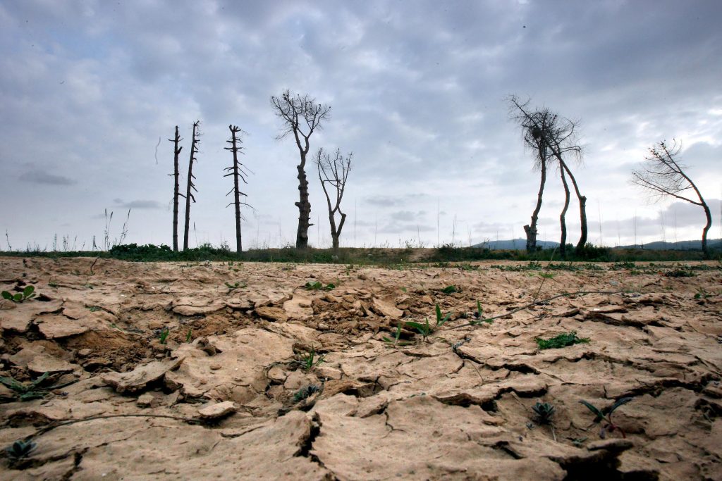 Klimawandel macht Extremhitze «hundertmal wahrscheinlicher»