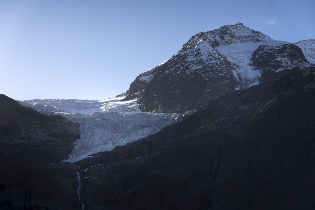 Schwindende Gletscher bedrohen die Biodiversität in den Alpen