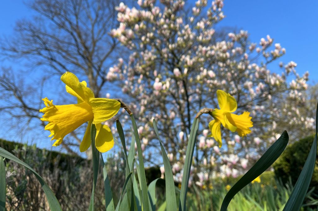 Der Frühling 2023 ist rund anderthalb Grad zu warm ausgefallen