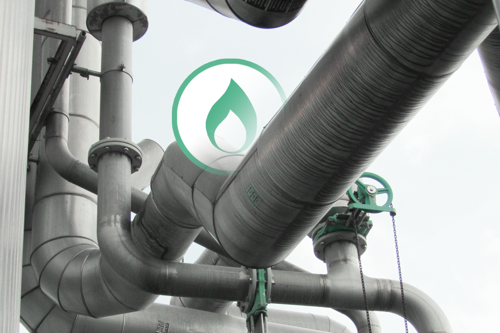 Gasverbund stellt klar: Anlage in Muttenz soll nur Biogas verarbeiten