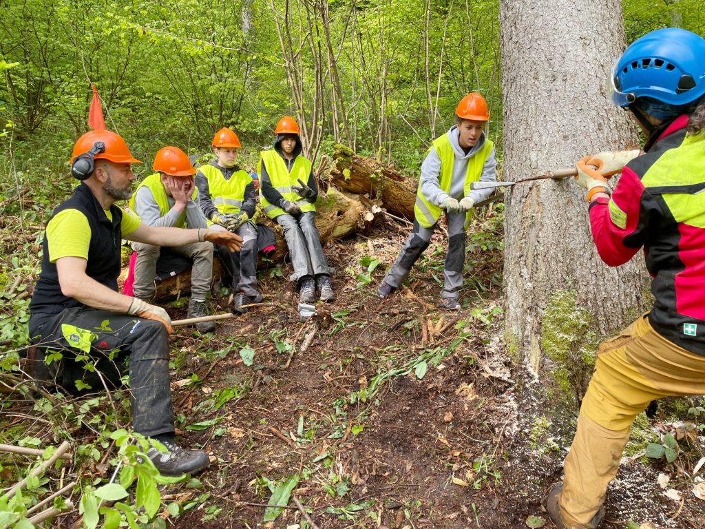 Bäume fällen statt Mathe büffeln: Sek-Schüler aus Liestal erleben im Wald den Klimawandel