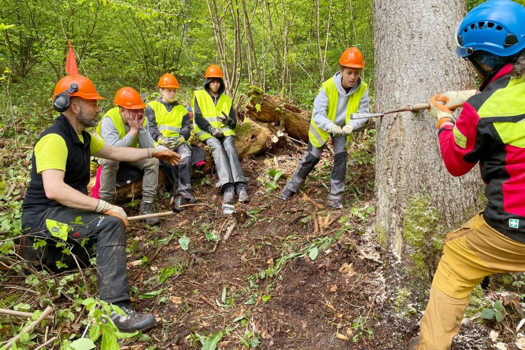 Bäume fällen statt Mathe büffeln: Sek-Schüler aus Liestal erleben im Wald den Klimawandel