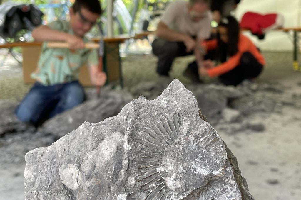 Wie Indiana Jones: Kinder hämmern uralte Fundstücke frei