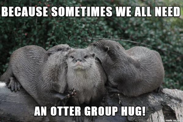 Heute ist Welt-Otter-Tag! Darum feiern wir ihn