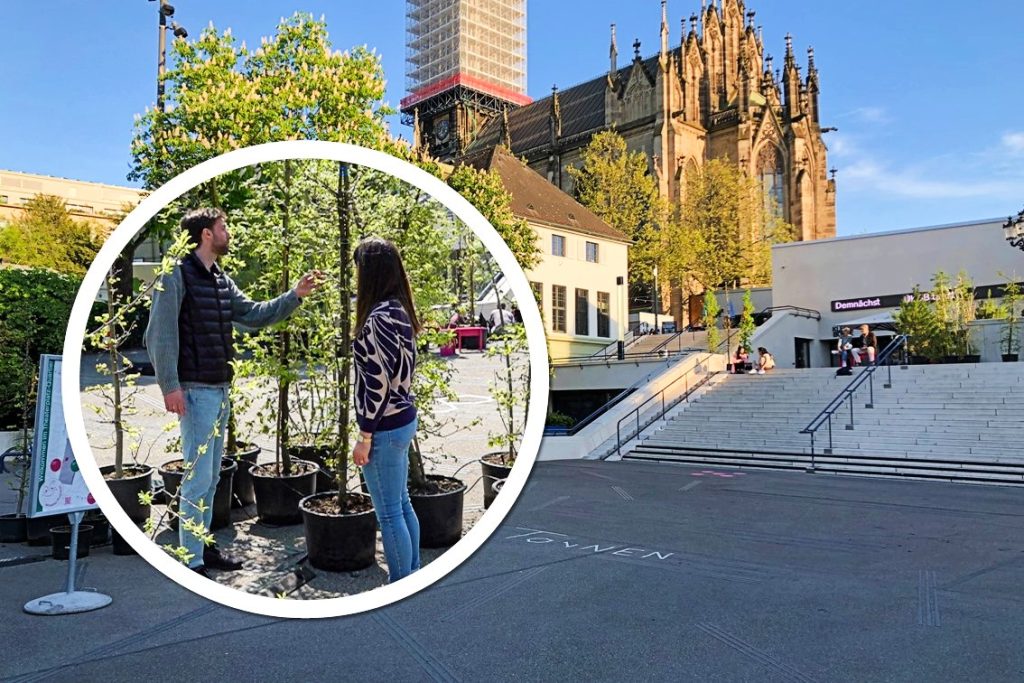 Auf dem Theaterplatz steht jetzt ein mobiler Wald