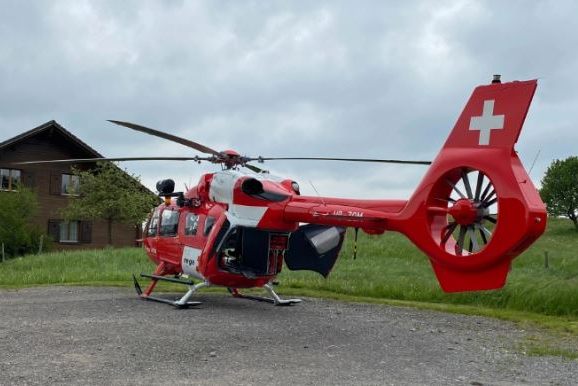 Bullterrier beisst im Kanton Zug 9-jährigen Knaben ins Gesicht