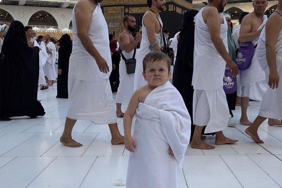 Hasbulla wurde in seiner Heimat festgenommen