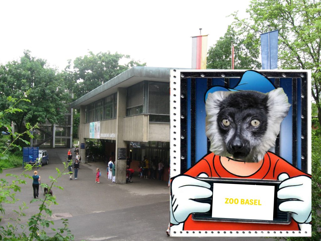 Ausgebüxter Lemur steht jetzt unter Hausarrest