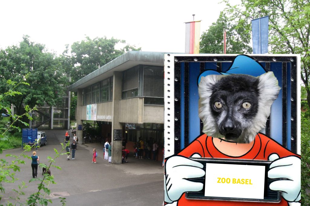Ausgebüxter Lemur steht jetzt unter Hausarrest