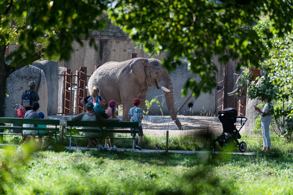 Ein Besuch bei Tusker kostet künftig mehr