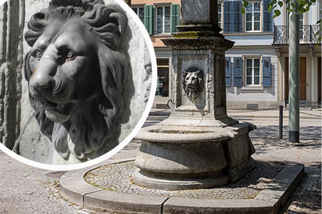 Winterthurer Polizei sucht diesen 30-Kilo-Löwenkopf