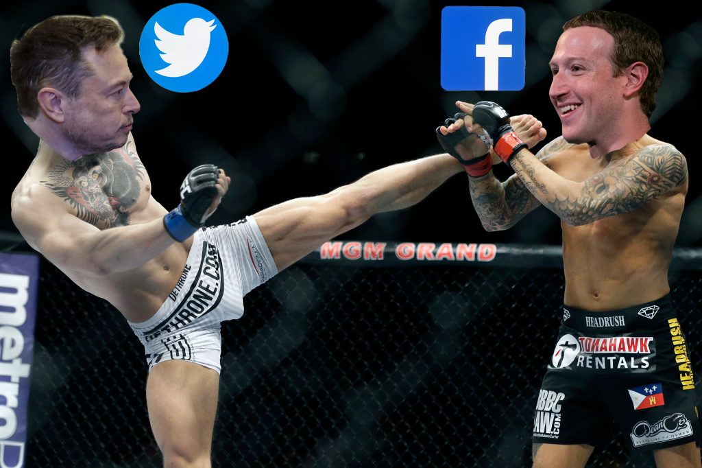 Musk fordert Zuckerberg zum Käfigkampf heraus – So reagiert das Netz