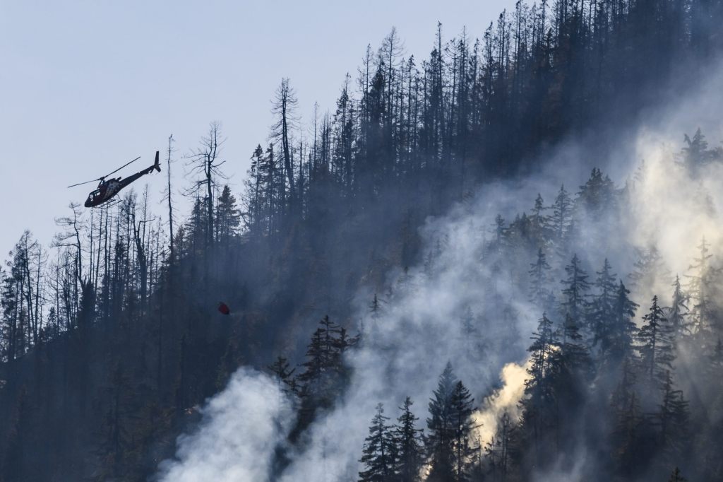 Glut und Wind lassen Feuerwehrleuten auch am Sonntag keine Ruhe