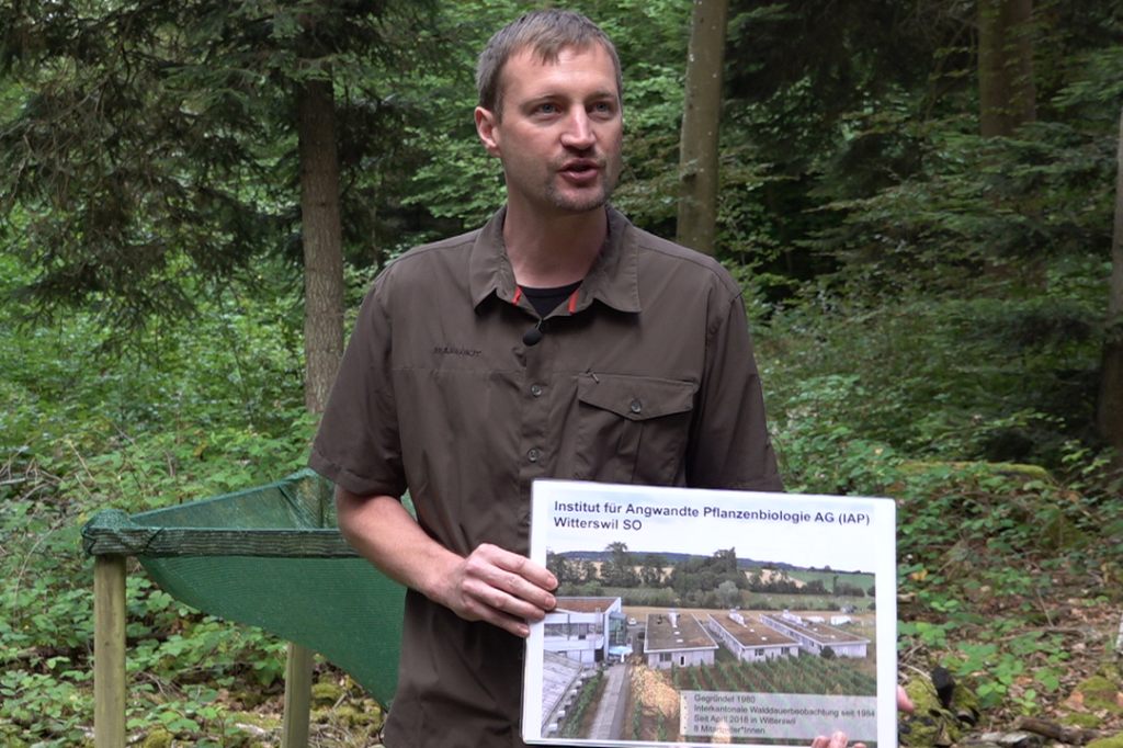 Darum ist Stickstoff ein Problem für die Basler Wälder