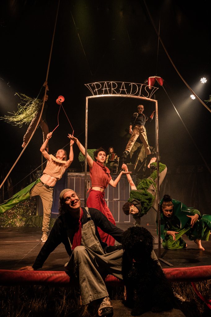 Das «Paradis?» auf dem Petersplatz