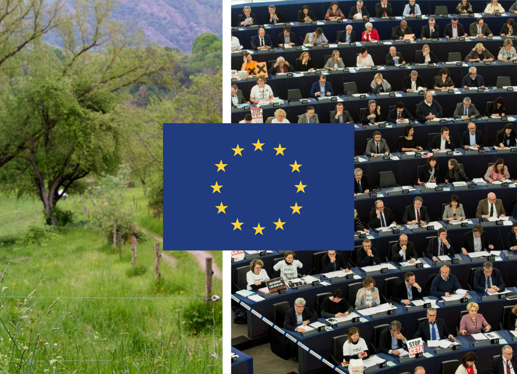 Knappe Mehrheit: EU-Parlament stimmt für umstrittenes Naturschutzgesetz