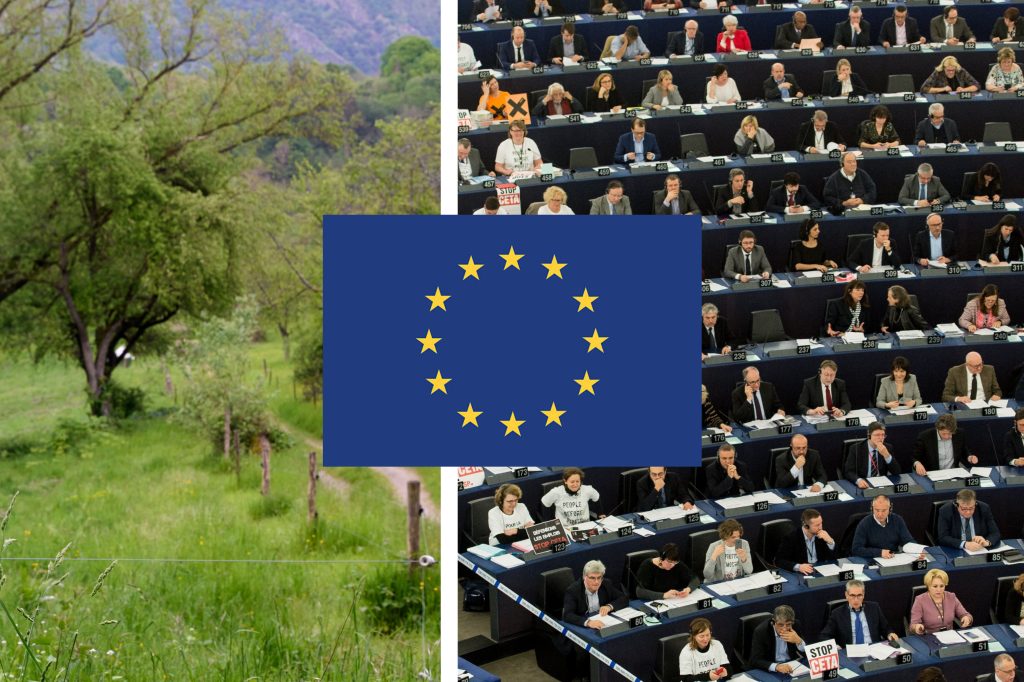 Knappe Mehrheit: EU-Parlament stimmt für umstrittenes Naturschutzgesetz
