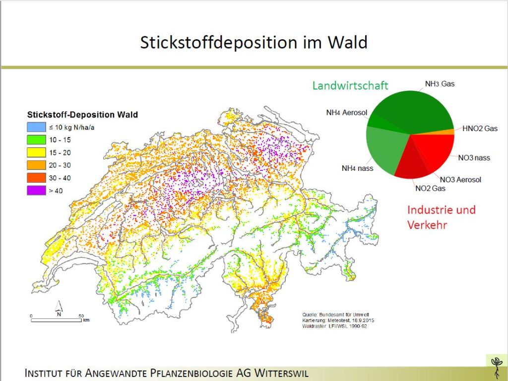 Darum ist Stickstoff ein Problem für die Basler Wälder