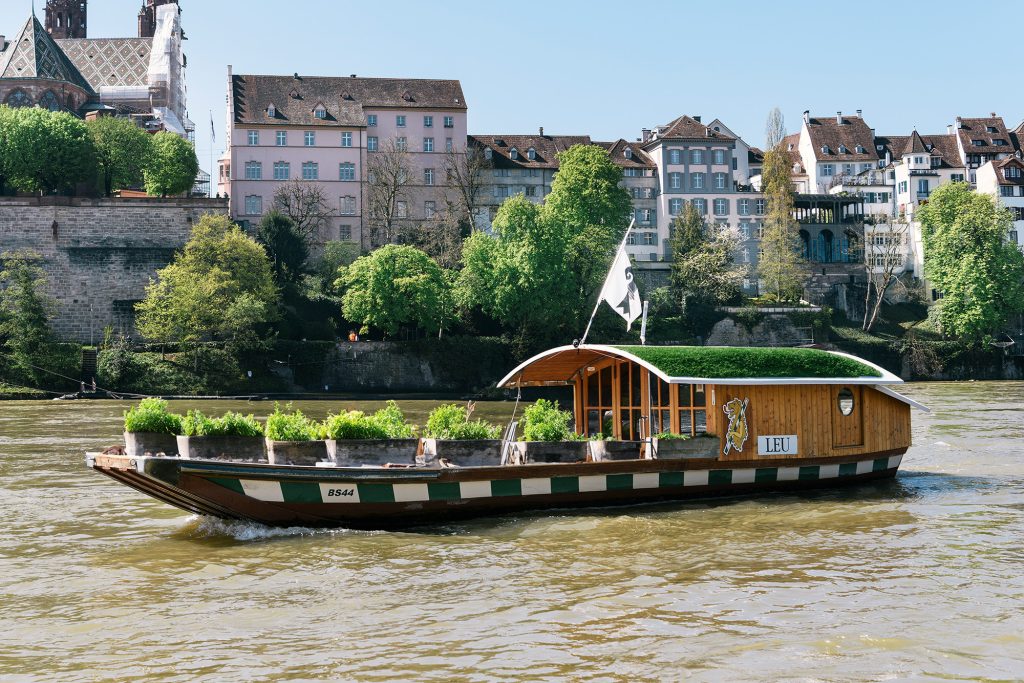 Basel begrünen? Wir gehen da noch eine Stufe weiter