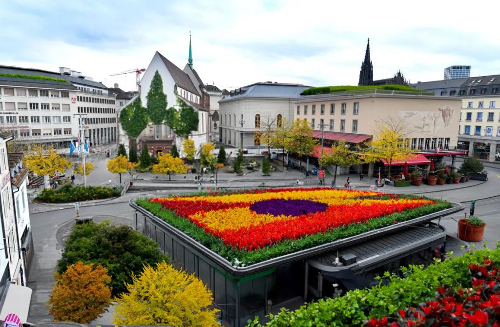 Basel begrünen? Wir gehen da noch eine Stufe weiter