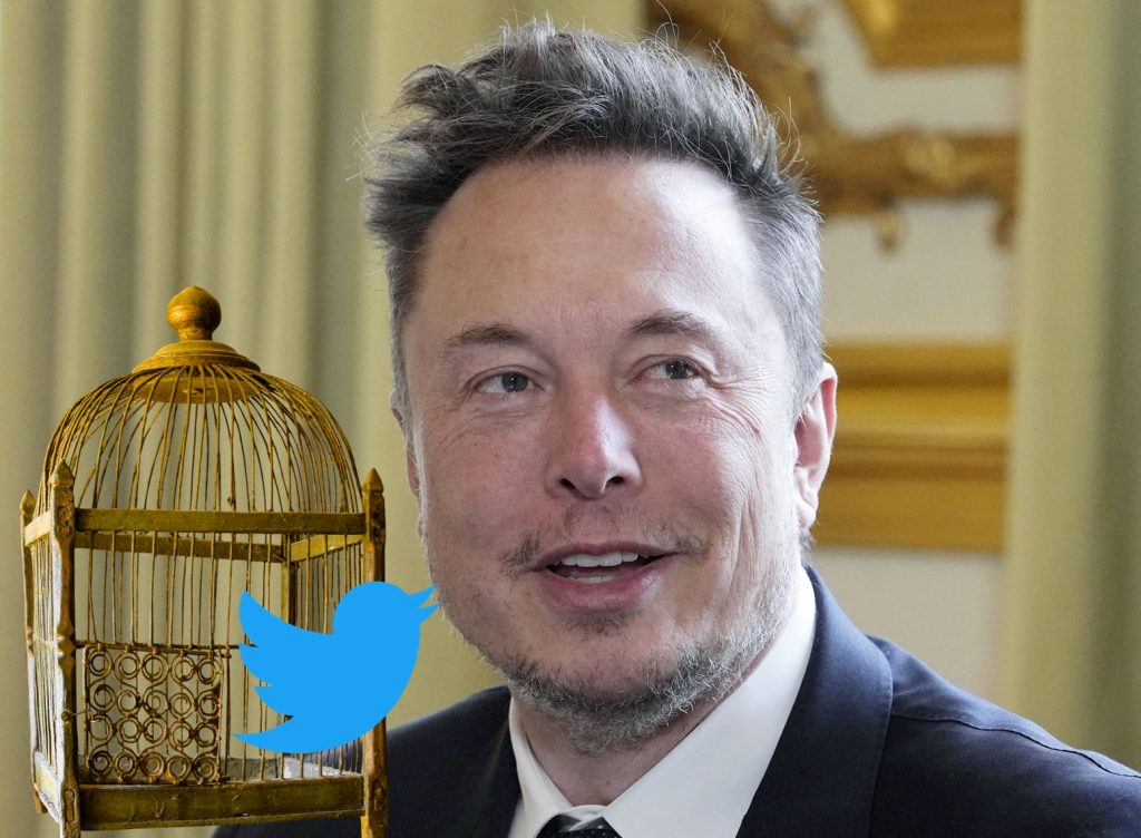 «Der Vogel ist befreit»: Ein Jahr ist seit der Twitter-Klage gegen Elon Musk vergangen