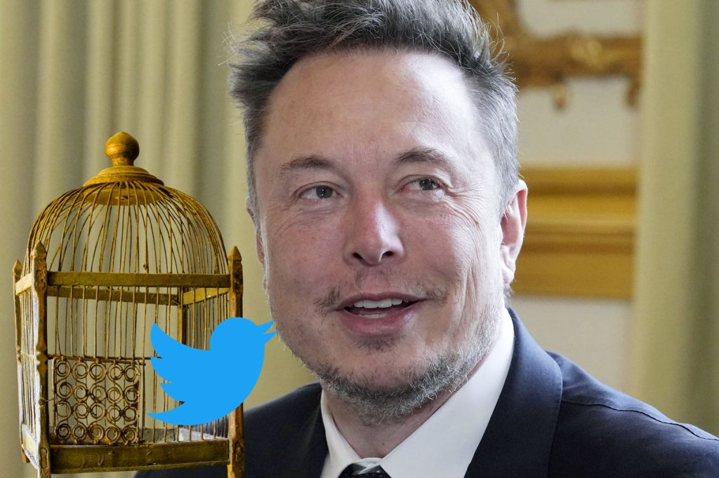 «Der Vogel ist befreit»: Ein Jahr ist seit der Twitter-Klage gegen Elon Musk vergangen