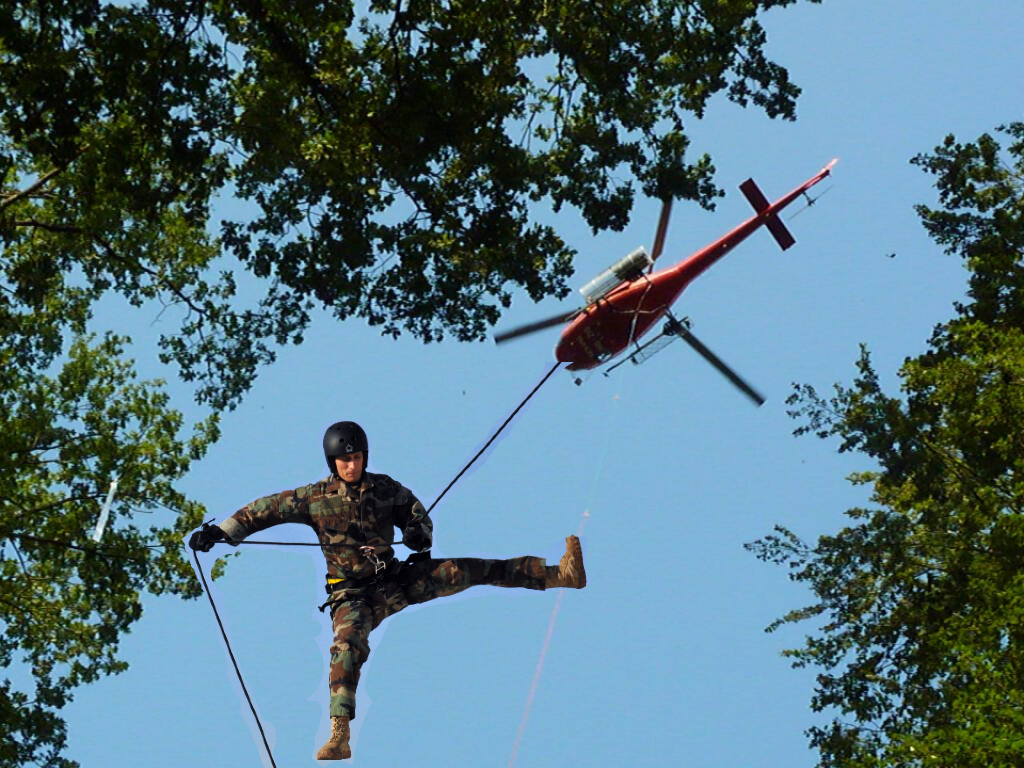 Spezialisten machen Gesundheitscheck der Bäume vom Helikopter aus