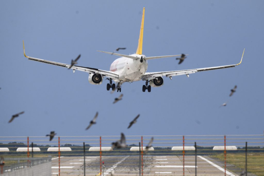 Fluggesellschaften im Juni fast auf Vor-Corona-Niveau