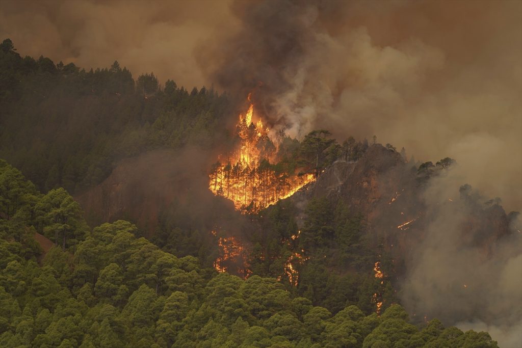 Waldbrand zerstört eine Fläche von 5&#8217;000 Fussballfeldern
