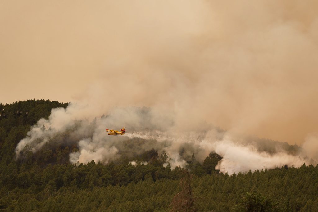 Waldbrand zerstört eine Fläche von 5'000 Fussballfeldern