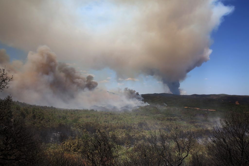 Waldbrände in Griechenland forderten bisher 20 Tote