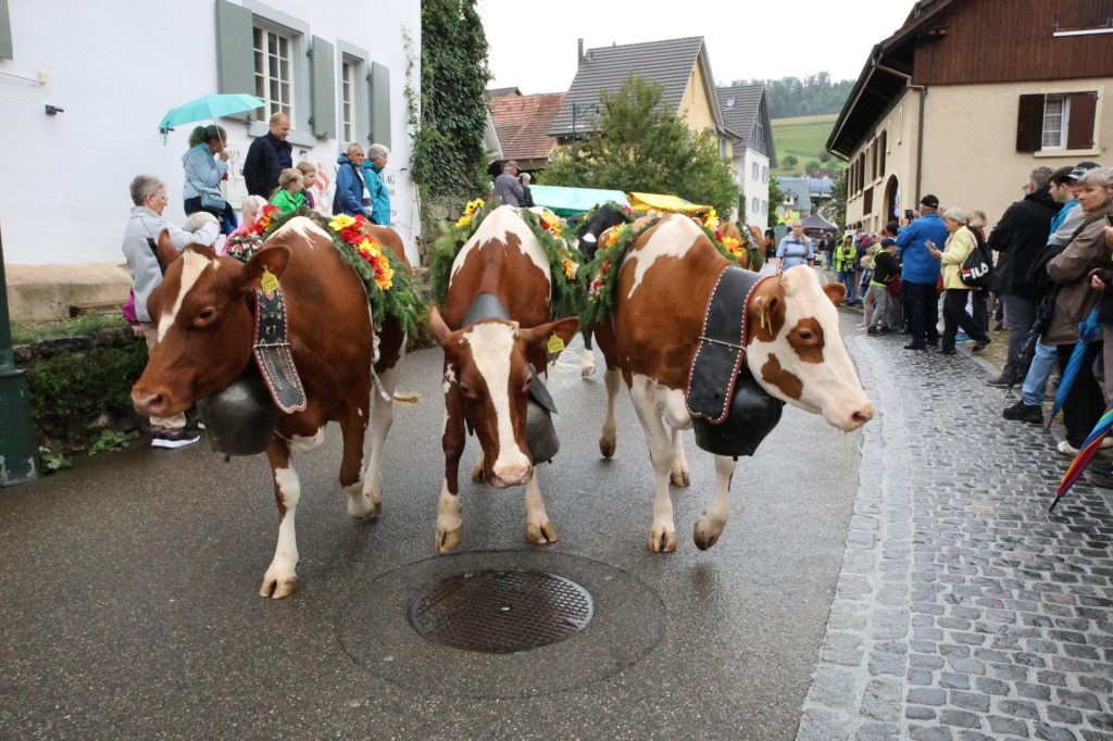Trotz schlechtem Wetter: 20’000 Besucher feierten in Zunzgen